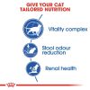 Royal Canin Indoor 27 Adult Cat Dry Food 4kg