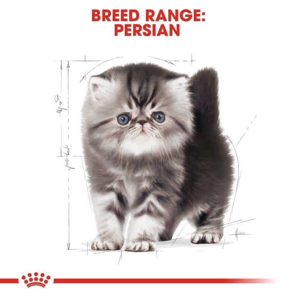 Royal Canin Persian Kitten Dry Cat Food 4kg