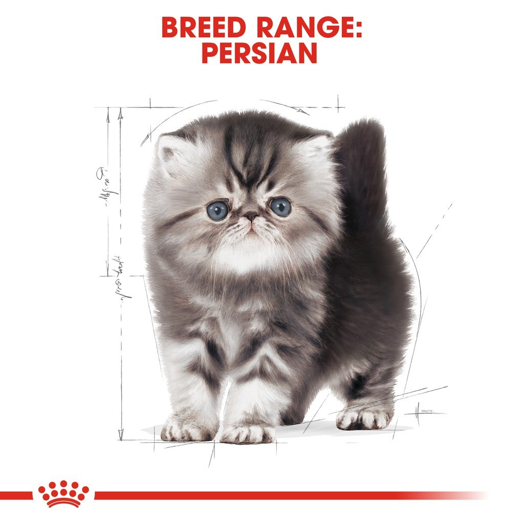 Royal Canin Persian Kitten Dry Cat Food 4kg