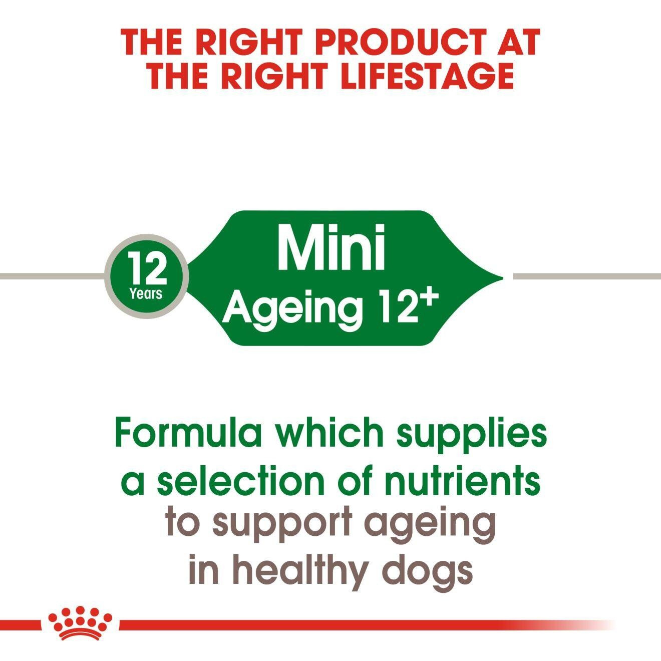 Royal Canin Mini Ageing 12+ Dry Dog Food (3.5kg)