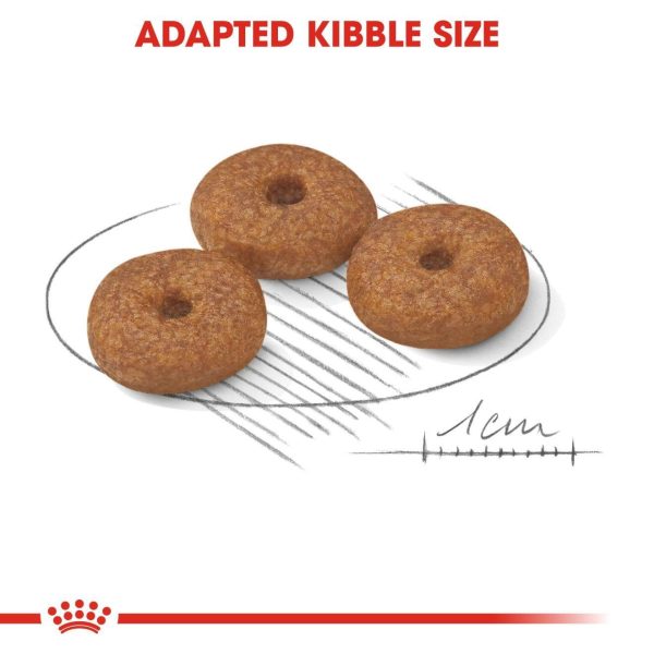 7301b055106d7c5488bb1b1cceb5afc3.jpeg Royal Canin Mini Ageing 12+ Dry Dog Food (3.5kg)
