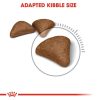 Royal Canin Hairball Care Adult Dry Cat Food 4kg