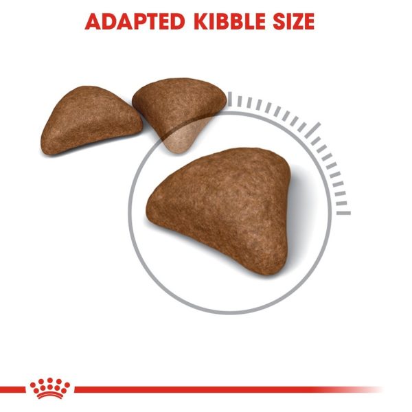 Royal Canin Hairball Care Adult Dry Cat Food 4kg