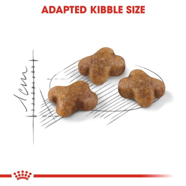Royal Canin Second Age Kitten Dry Cat Food 4KG