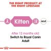 Royal Canin Second Age Kitten Dry Cat Food 4KG