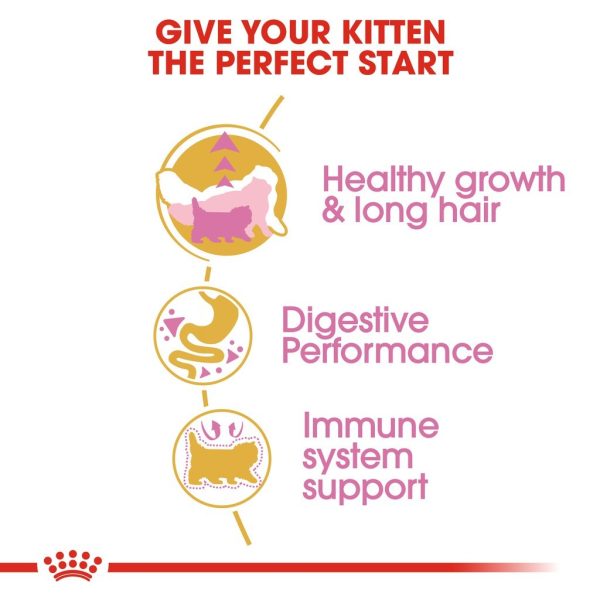 Royal Canin Persian Kitten Dry Cat Food 4kg