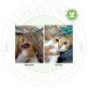 Ubax Cat Hero Spray 100ml - Ubat Kurap, Fungus, Luka, Selsema, Kutu.