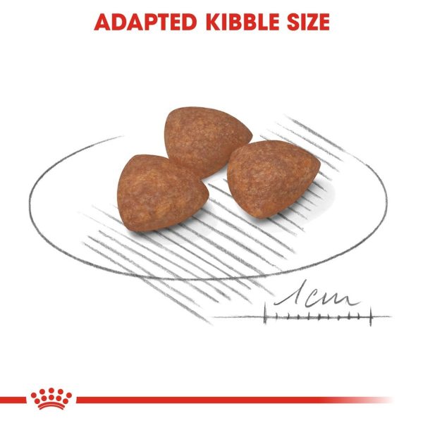 Royal Canin Mini Indoor Puppy Dry Dog Food (1.5kg)