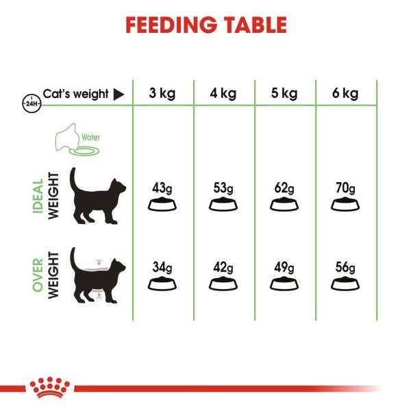Royal Canin Digestive Care Adult Dry Cat Food (400g)