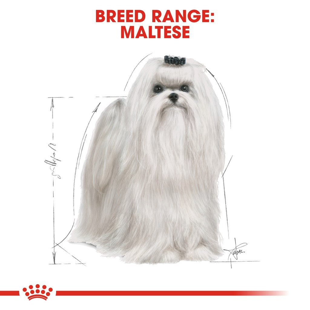Royal Canin Maltese Adult Dry Dog Food (1.5kg)