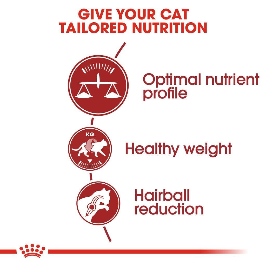Royal Canin Fit 32 Adult Dry Cat Food - Feline Health Nutrition 2KG