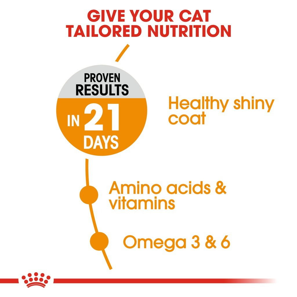 Royal Canin Hair & Skin Care Adult Dry Cat Food (2kg)