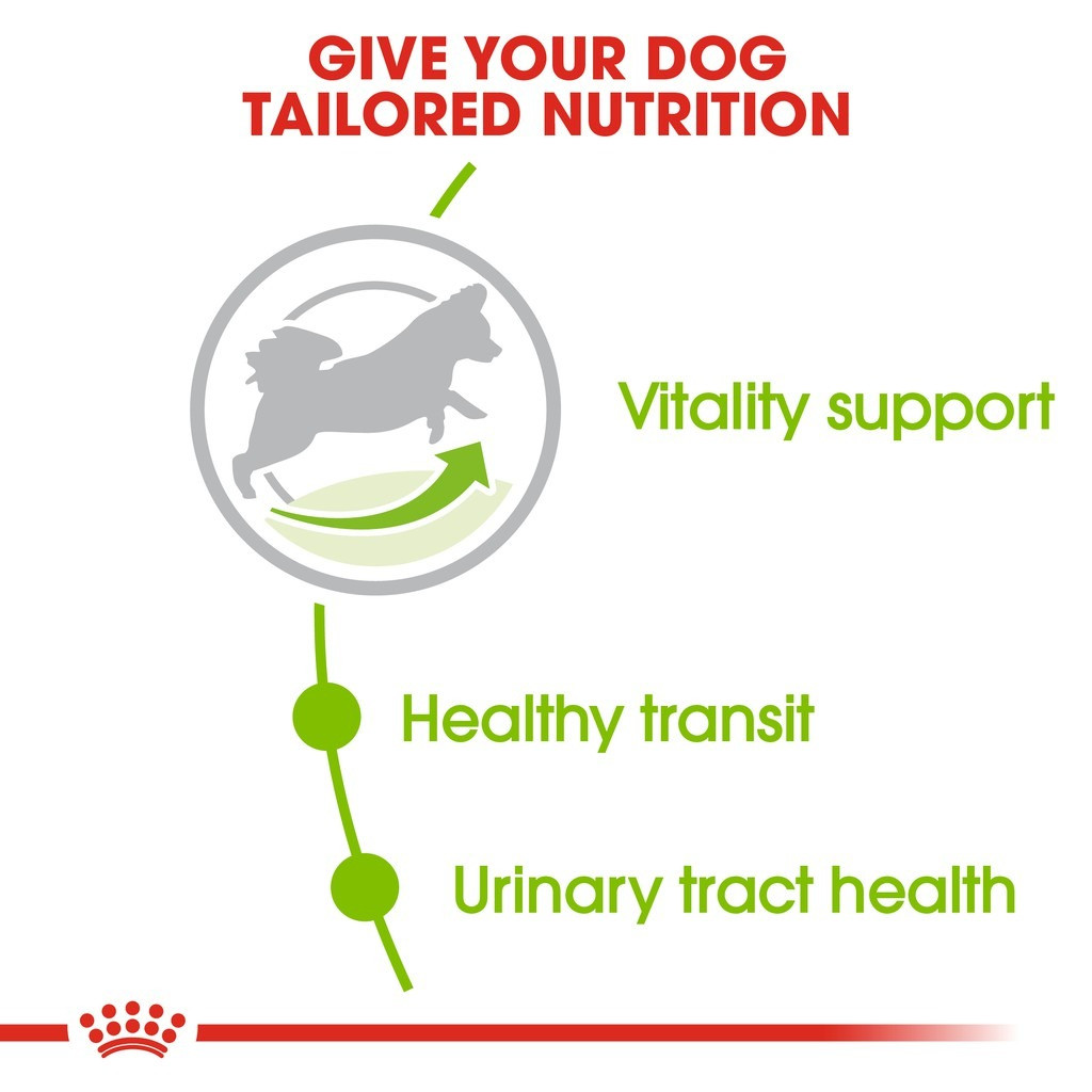Royal Canin X-Small Mature+8 Dry Dog Food (1.5kg)