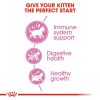 Royal Canin Second Age Kitten Dry Cat Food 2KG