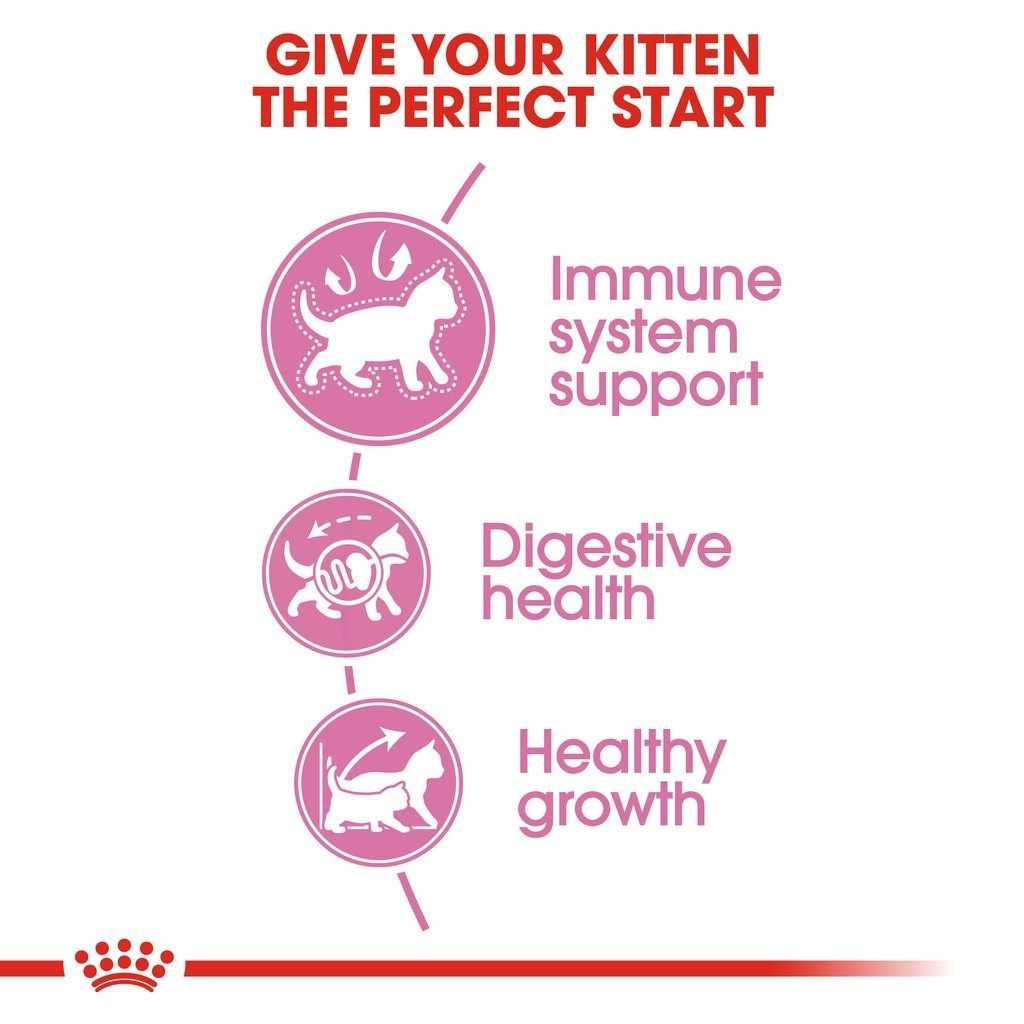 Royal Canin Second Age Kitten Dry Cat Food 2KG