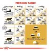 Royal Canin Maine Coon Adult Dry Cat Food (2kg)