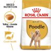 Royal Canin Poodle Adult Dry Dog Food (1.5kg)
