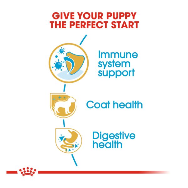 Royal Canin Poodle Puppy Dry Dog Food (3kg)