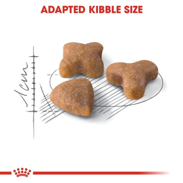 Royal Canin Sensible 33 Adult Dry Cat Food (2kg)
