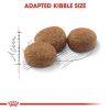 Royal Canin Regular Sterilised 37 Adult Dry Cat Food (10kg)