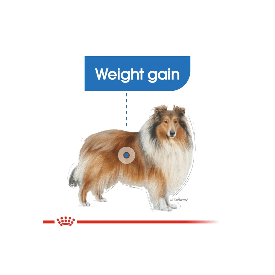 Royal Canin Maxi Light Weight Care Dry Dog Food 12kg