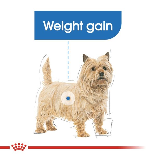 Royal Canin Mini Light Weight Care Adult Dry Dog Food - Canine Care Nutrition (3kg)