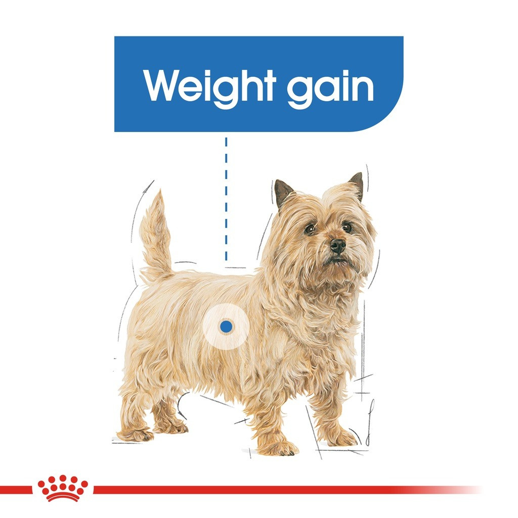Royal Canin Mini Light Weight Care Adult Dry Dog Food - Canine Care Nutrition (3kg)