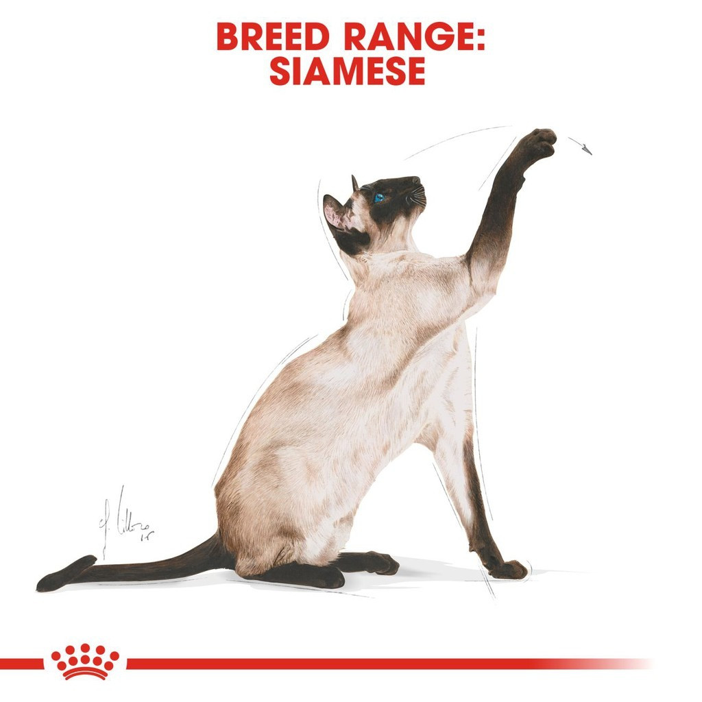 Royal Canin Siamese Adult Dry Cat Food (2kg)