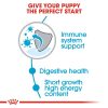 Royal Canin Medium Puppy Dry Dog Food (4kg)