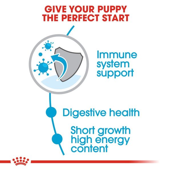 Royal Canin Medium Puppy Dry Dog Food (4kg)