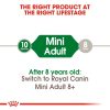 Royal Canin Mini Adult Dry Dog Food (2kg)
