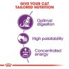 Royal Canin Sensible 33 Adult Dry Cat Food (2kg)