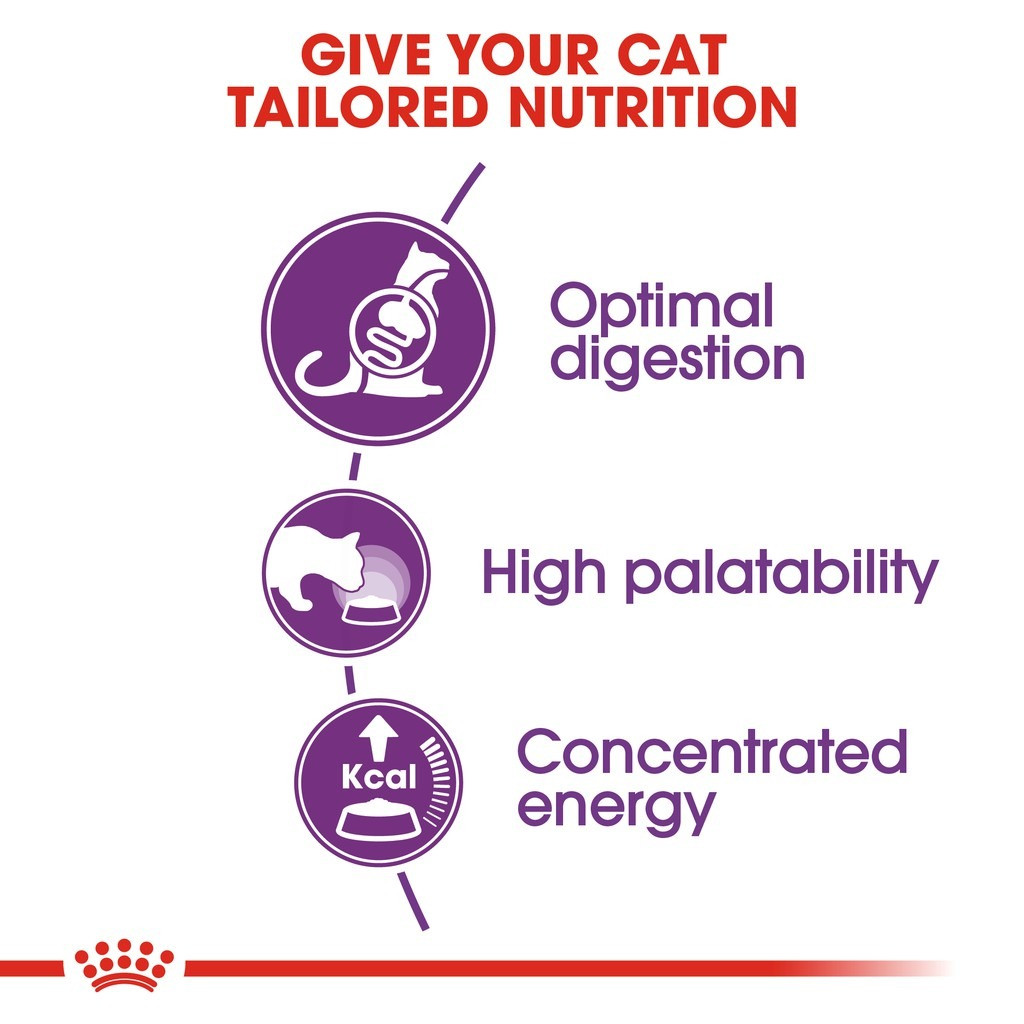 Royal Canin Sensible 33 Adult Dry Cat Food (2kg)