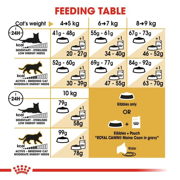 Royal Canin Maine Coon Adult Dry Cat Food (4kg)