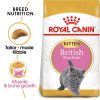 Royal Canin British Shorthair Kitten Dry Cat Food (2kg)