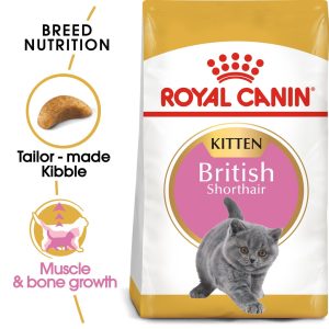 Royal Canin British Shorthair Kitten Dry Cat Food (2kg)