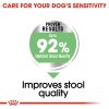 Royal Canin Mini Digestive Care Dry Dog Food (3kg)