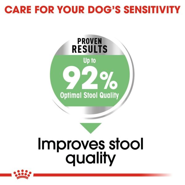Royal Canin Mini Digestive Care Dry Dog Food (3kg)