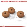 Royal Canin Mini Light Weight Care Adult Dry Dog Food - Canine Care Nutrition (3kg)