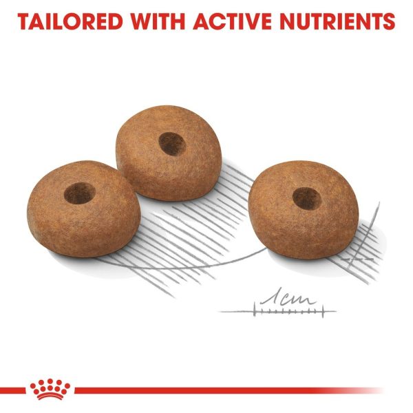 Royal Canin Mini Light Weight Care Adult Dry Dog Food - Canine Care Nutrition (3kg)