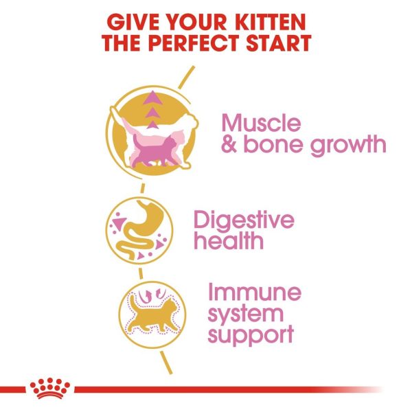 Royal Canin British Shorthair Kitten Dry Cat Food (2kg)