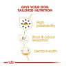 Royal Canin Chihuahua Adult Dry Dog Food (1.5kg)