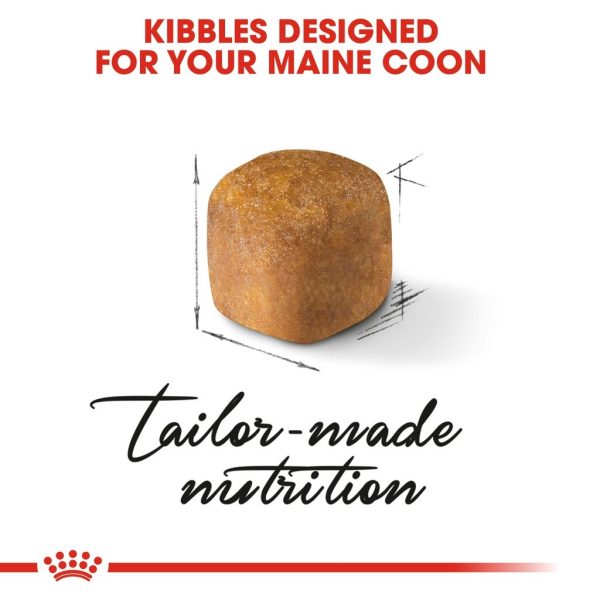 Royal Canin Maine Coon Kitten Dry Cat Food (2kg)