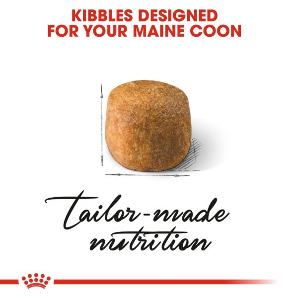 Royal Canin Maine Coon Adult Dry Cat Food (2kg)