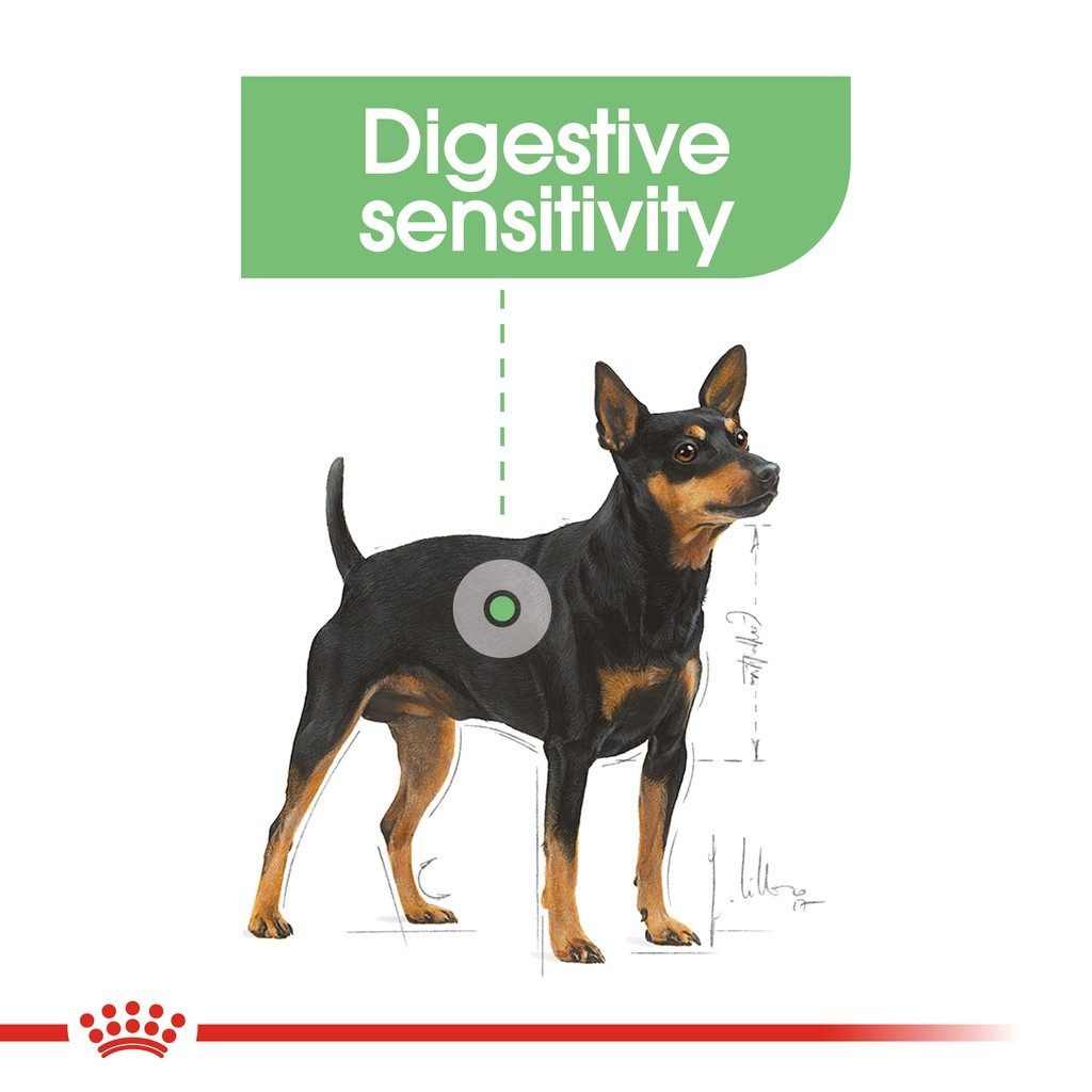 Royal Canin Mini Digestive Care Dry Dog Food (3kg)
