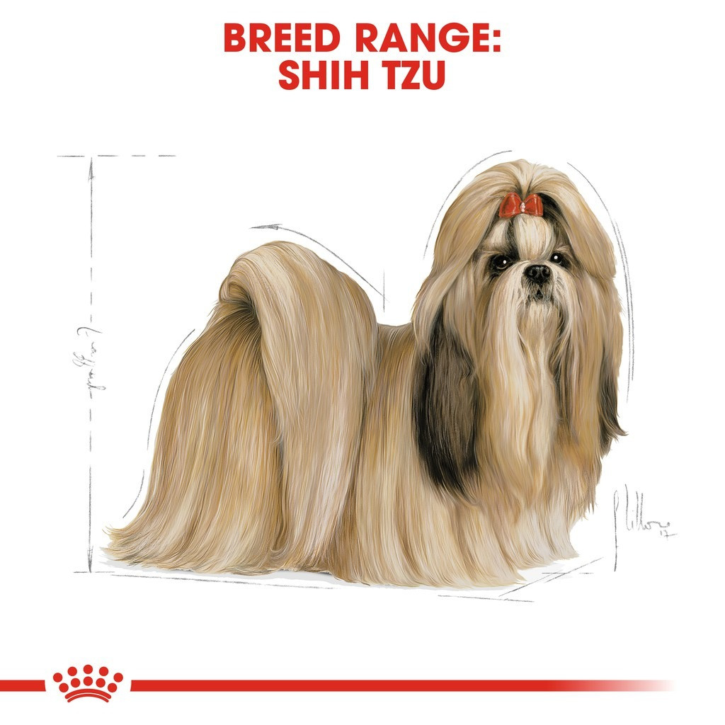 Royal Canin Shih Tzu Adult Dry Dog Food (3kg)