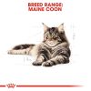Royal Canin Maine Coon Adult Dry Cat Food (2kg)