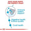 Royal Canin Mini Indoor Puppy Dry Dog Food (1.5kg)