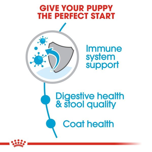 Royal Canin Mini Indoor Puppy Dry Dog Food (1.5kg)