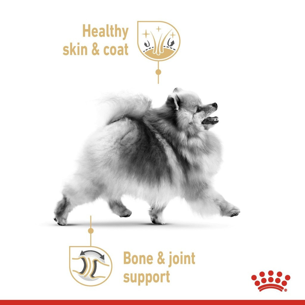 Royal Canin Pomeranian Adult Dry Dog Food (1.5kg)